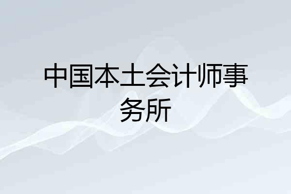 中国本土会计师事务所