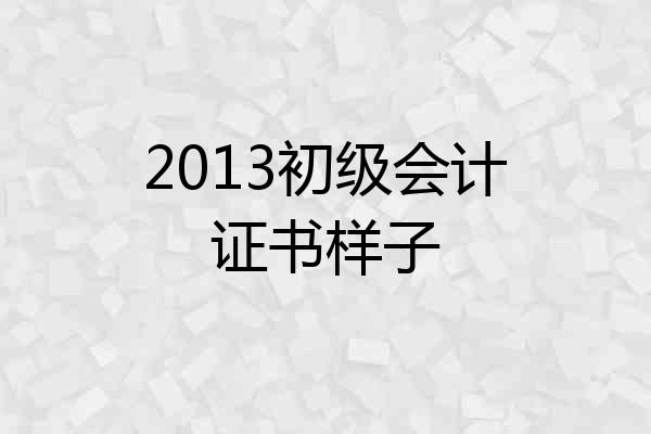 2013初级会计证书样子