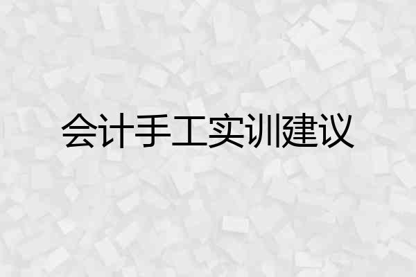 会计手工实训建议