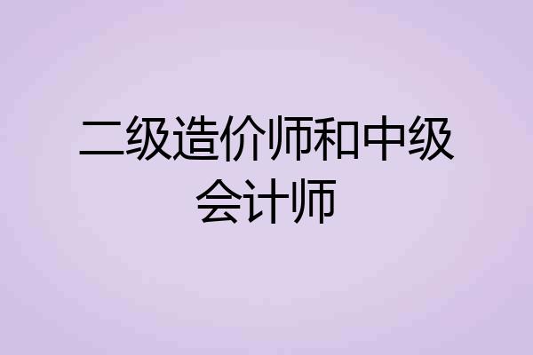 二级造价师和中级会计师