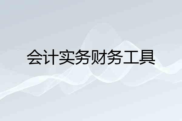 会计实务财务工具