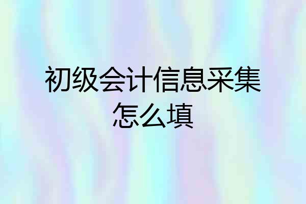 初级会计信息采集怎么填