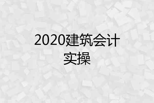 2020建筑会计实操