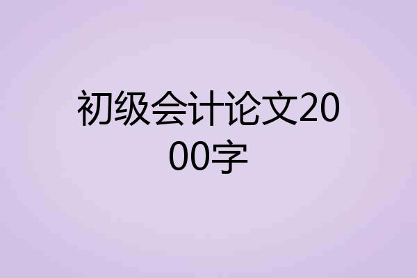 初级会计论文2000字