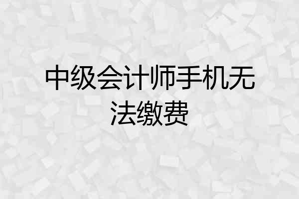 中级会计师手机无法缴费
