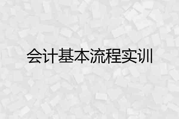 会计基本流程实训