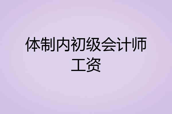 体制内初级会计师工资