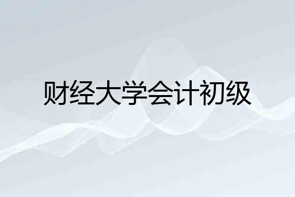 财经大学会计初级