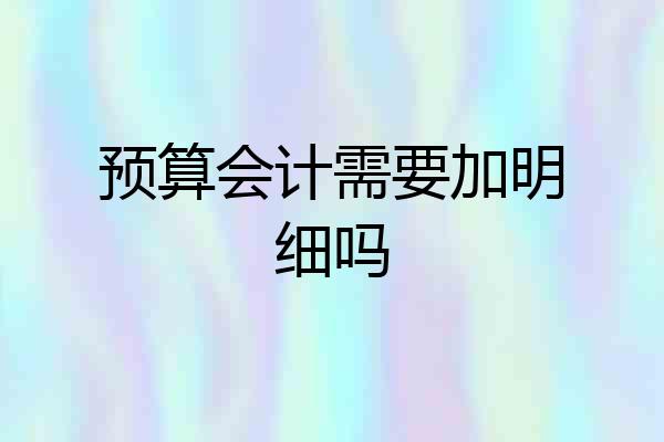 预算会计需要加明细吗