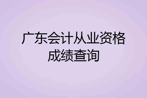 广东会计从业资格成绩查询