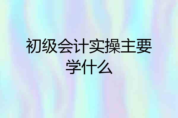 初级会计实操主要学什么