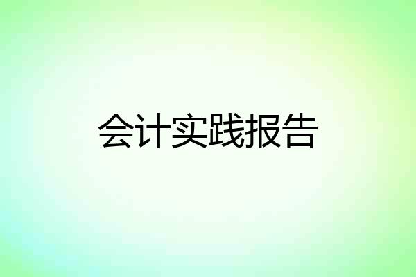 会计实践报告