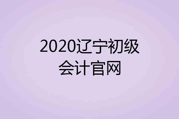 2020辽宁初级会计官网