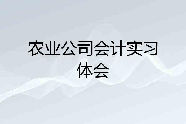 农业公司会计实习体会