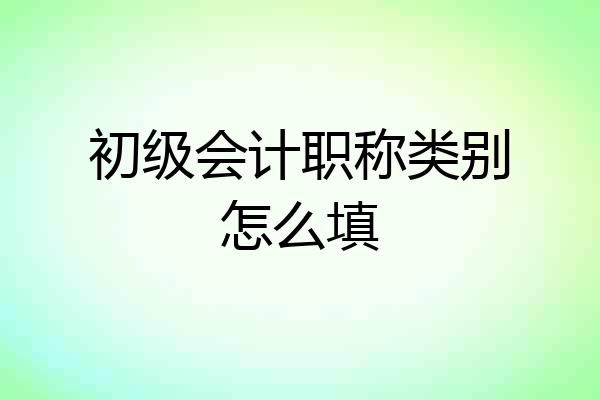 初级会计职称类别怎么填