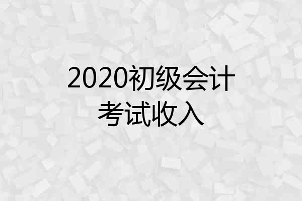 2020初级会计考试收入