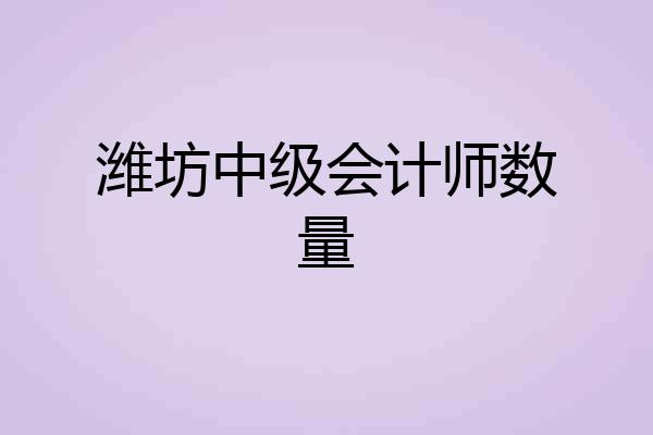 潍坊中级会计师数量