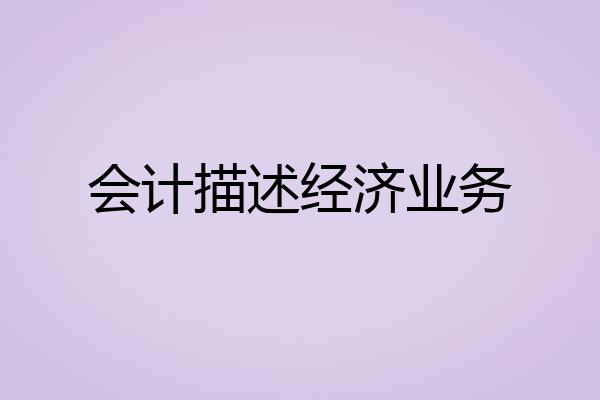 会计描述经济业务
