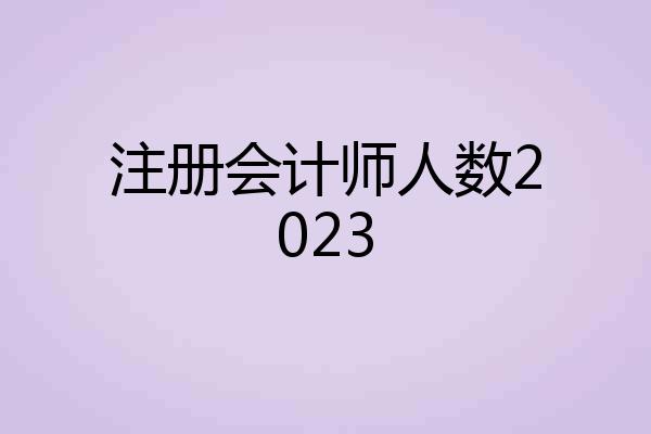 注册会计师人数2023