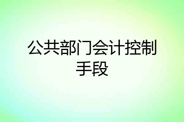 公共部门会计控制手段
