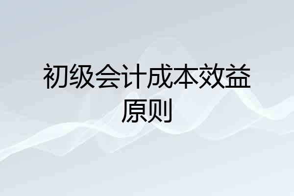 初级会计成本效益原则