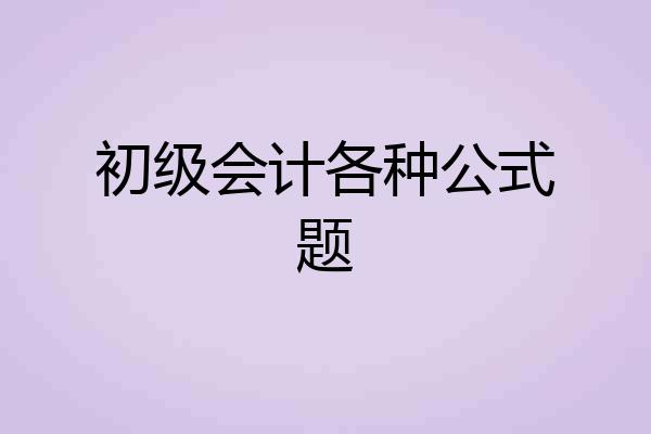初级会计各种公式题