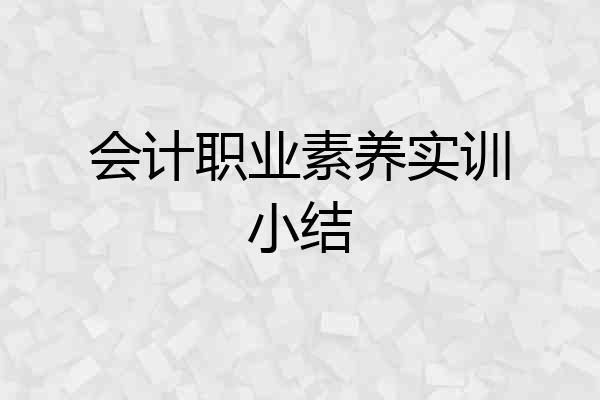 会计职业素养实训小结