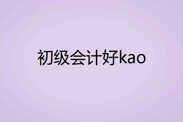 初级会计好kao