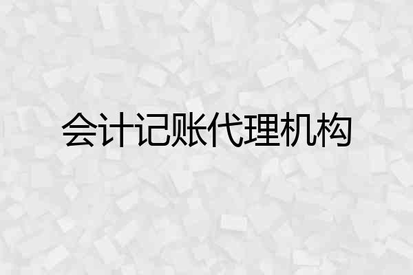 会计记账代理机构