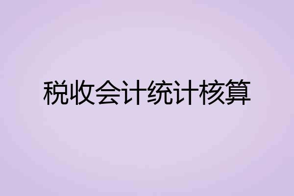 税收会计统计核算