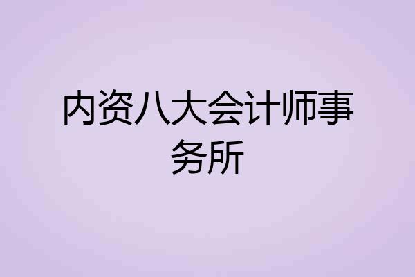 内资八大会计师事务所