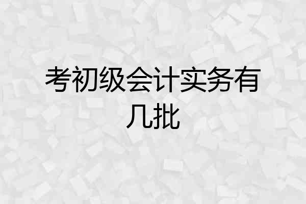 考初级会计实务有几批