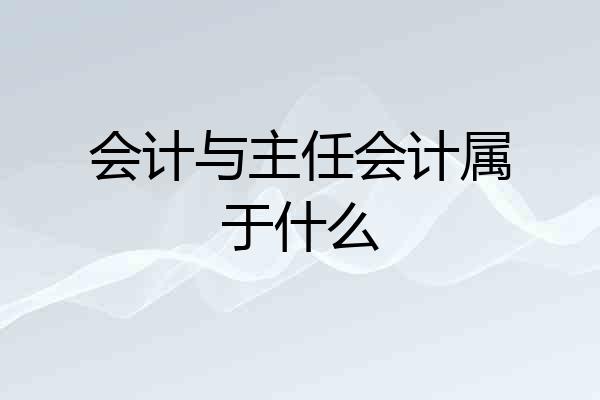 会计与主任会计属于什么