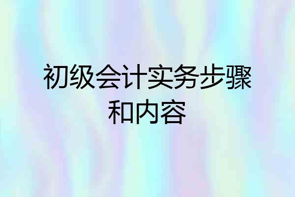 初级会计实务步骤和内容