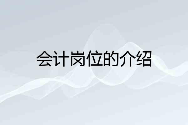 会计岗位的介绍