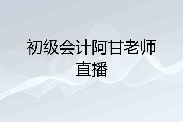初级会计阿甘老师直播
