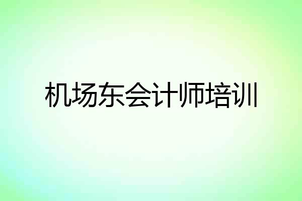 机场东会计师培训