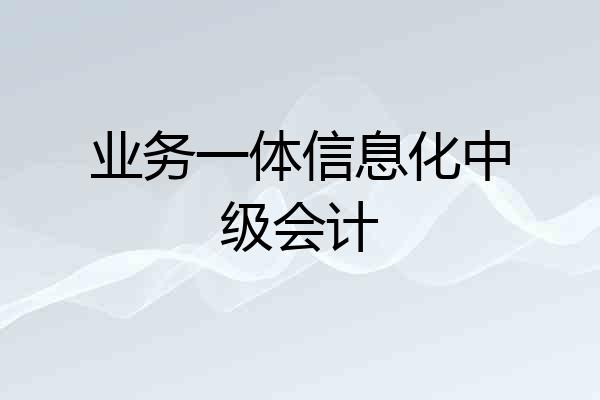 业务一体信息化中级会计
