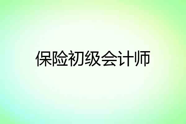保险初级会计师