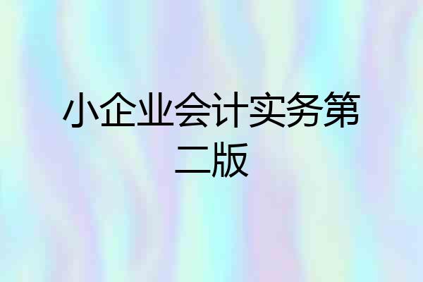 小企业会计实务第二版