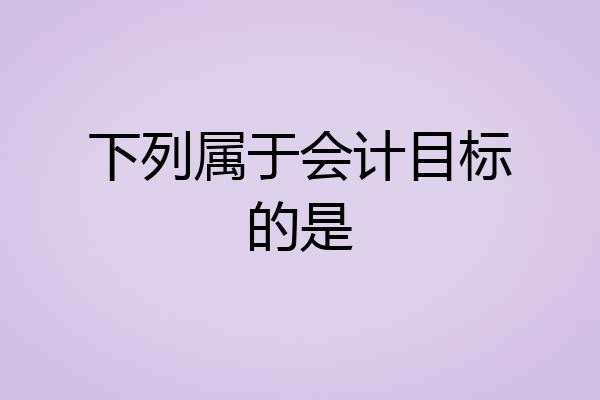 下列属于会计目标的是