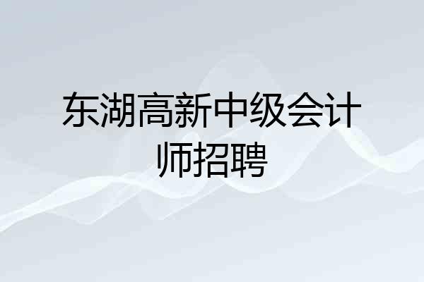 东湖高新中级会计师招聘