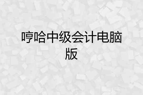 哼哈中级会计电脑版