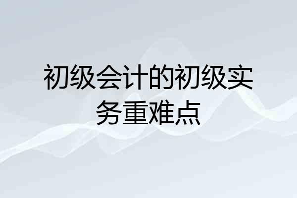 初级会计的初级实务重难点