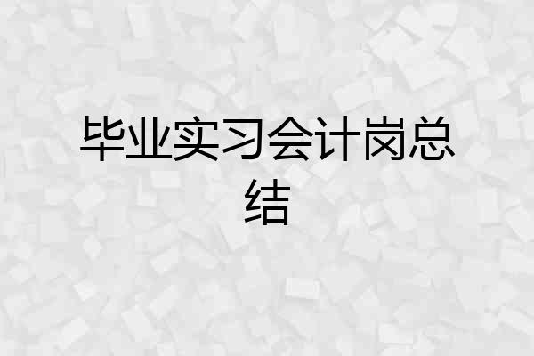 毕业实习会计岗总结