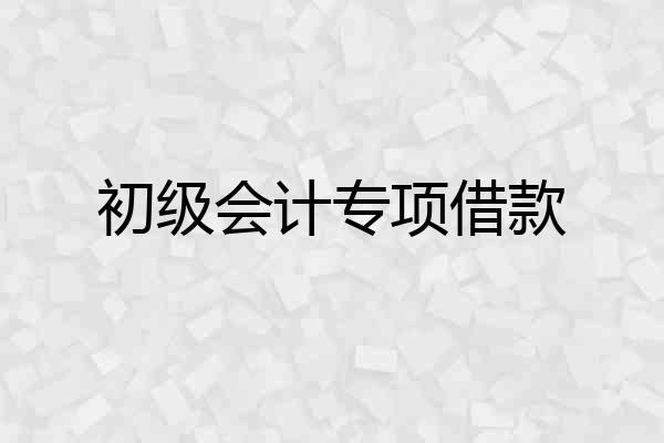 初级会计专项借款
