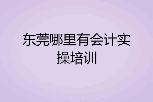 东莞哪里有会计实操培训