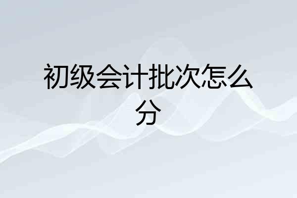 初级会计批次怎么分