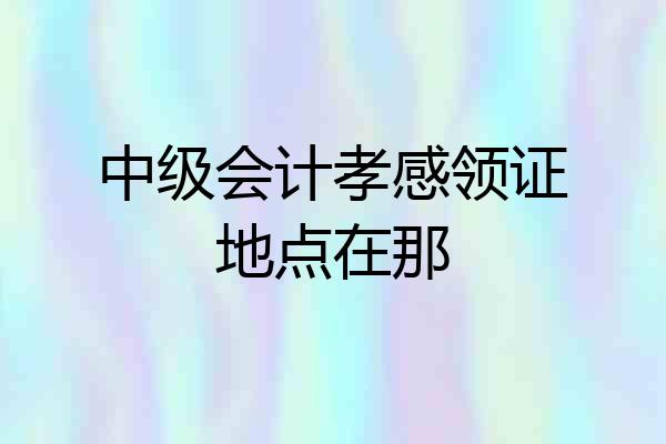 中级会计孝感领证地点在那