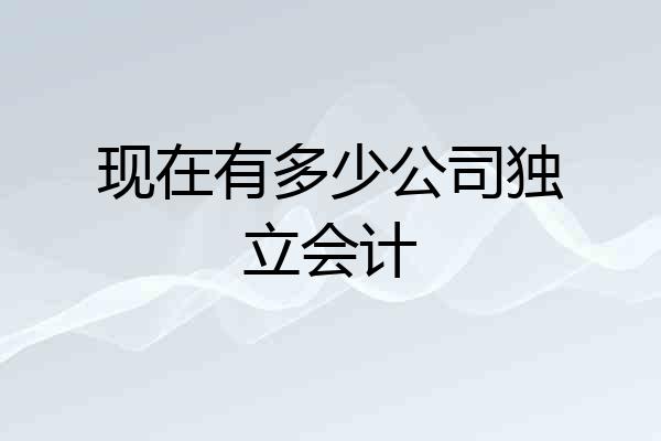 现在有多少公司独立会计